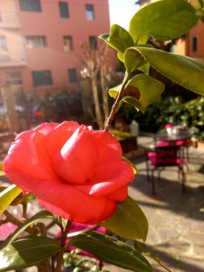 Hotel Arcoveggio Bolonia Zewnętrze zdjęcie